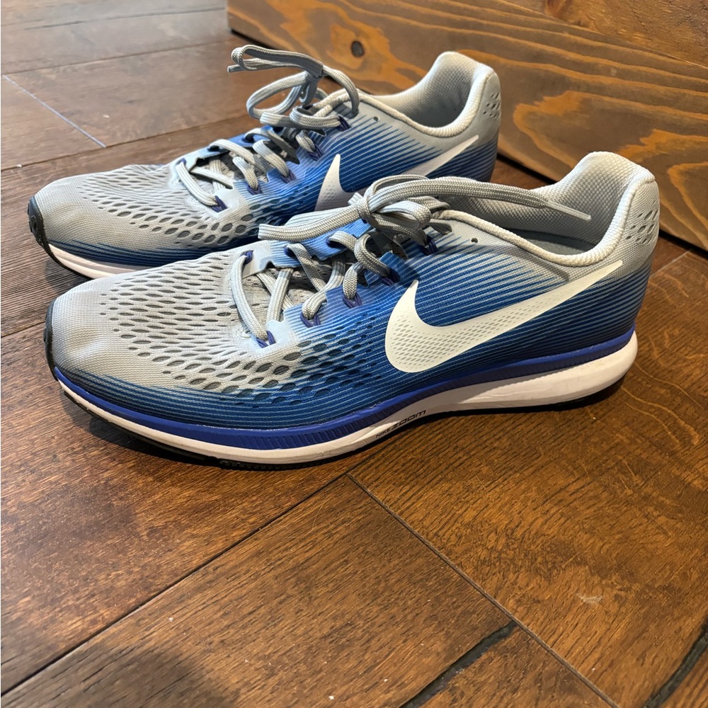 Pegasus 34